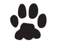 paw-print Icon selected.