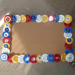 Multiple rosettes attached on the border of a cork board.