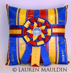 ribbon rosette award recycling pillow