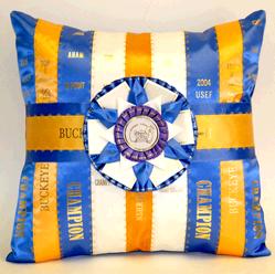 ribbon rosette award pillow