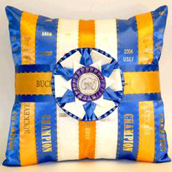 A decorative pillow made from the streamers of award ribbons with a single, large rosette in the middle.