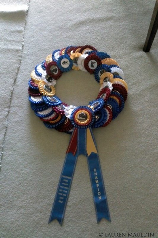 Download Display Award Ribbons and Rosettes - Personalized Ribbons