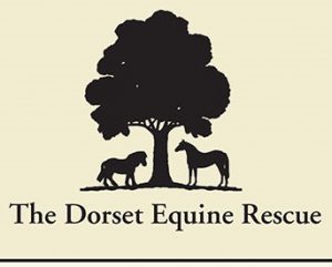 the dorset equine rescue coller industried customer donations stock award ribbons