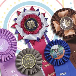use custom rosette ribbons at your next fair or festival for awards of all sizes