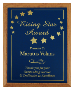 value plaques are a new product and perfect for any reward for a job well done