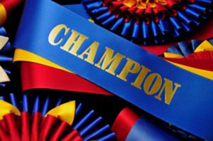 award all champions in your competitions with these rosette ribbons