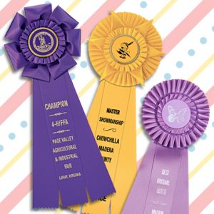 five inch streamers on rosette ribbons