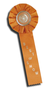 best of show stock rosette ribbon from Personalized Ribbons