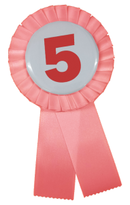 rosette used for a contestant number for pageant ribbons