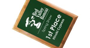 1st place award plaque for spring fairs and festivals with a green engraved metal plate.