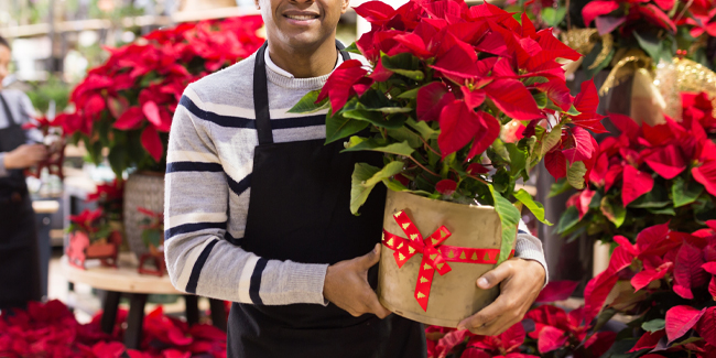 A florist is holding a plant decorated with a custom ribbon roll.