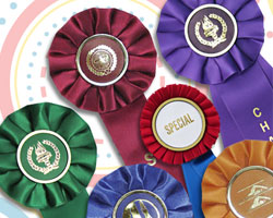 stock rosette prize ribbons