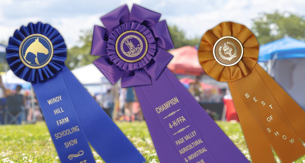 Three custom rosette ribbons in different styles that are awards for meaningful recognition for different achievements.