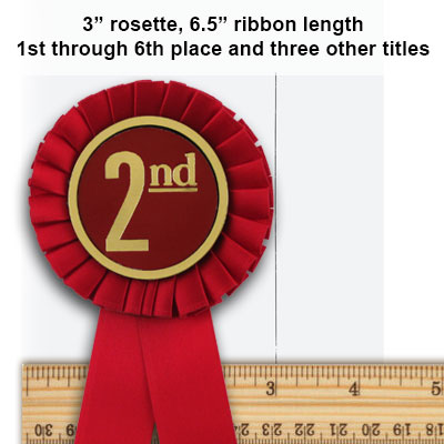 Size for first place ribbons